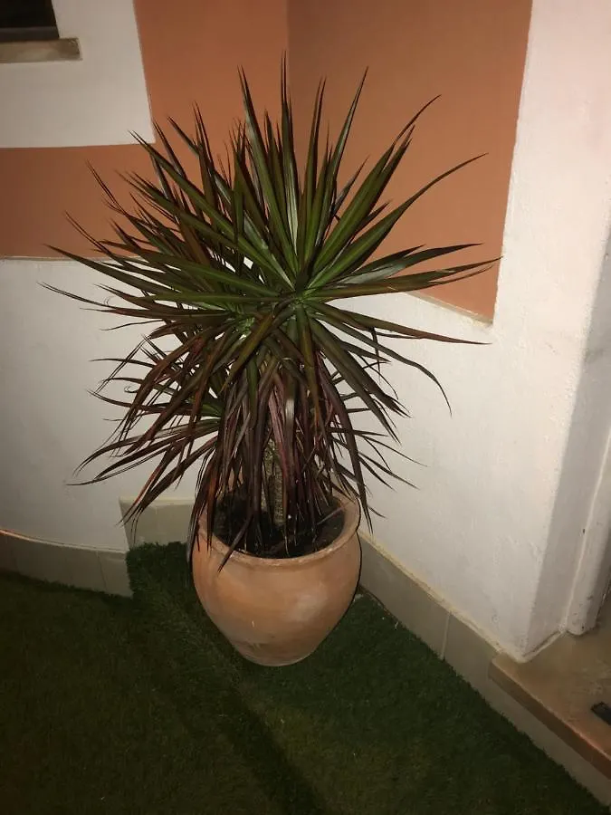Sun Place Guest House Lagos 0*,